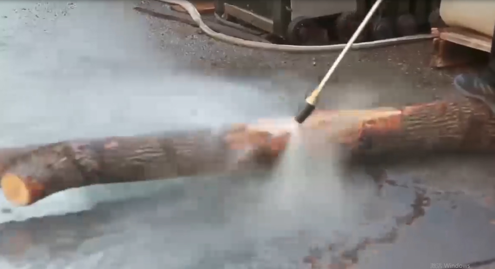 剝樹皮